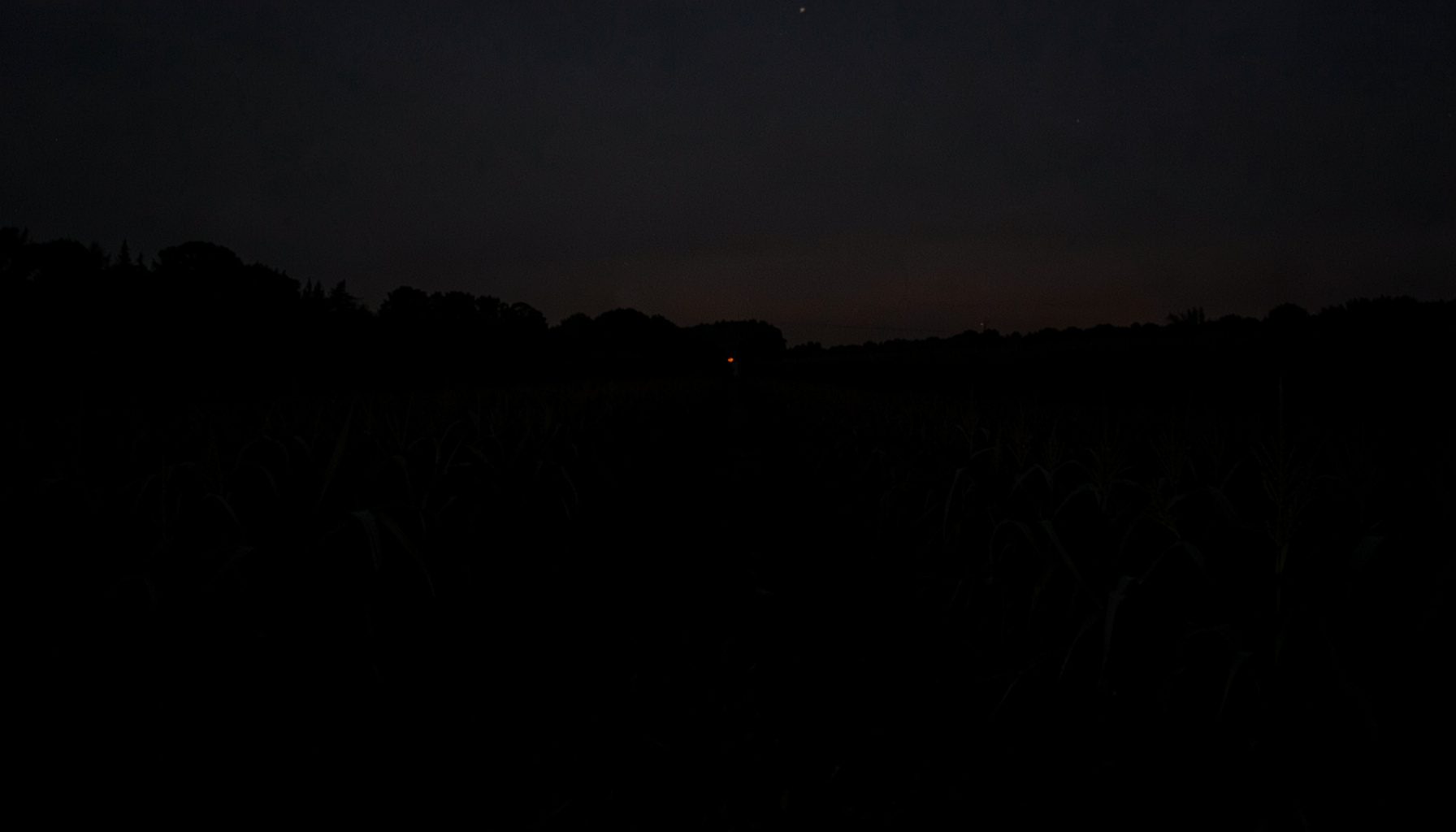 Dark moody photograph of a field at twilight, rows of crops receding into deep shadow under a charcoal sky